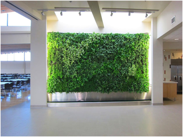 How To Create Your Diy Living Wall 5 Simple Ways To Create